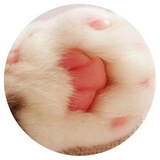 Sticker 20