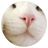 Sticker 3