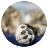 Sticker 4