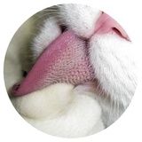 Sticker 5