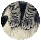 Sticker 7