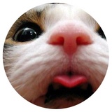 Sticker 8