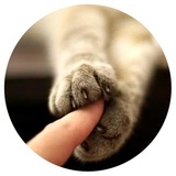Sticker 9