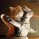 Sticker 10