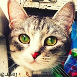 Sticker 105