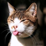 Sticker 108