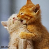 Sticker 114