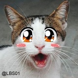 Sticker 116