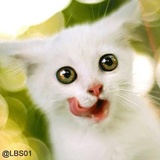 Sticker 118