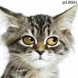 Sticker 19