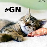Sticker 39