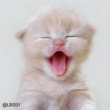 Sticker 44