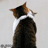 Sticker 48