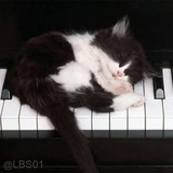 Sticker 49