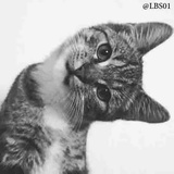 Sticker 5