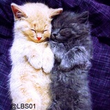 Sticker 69