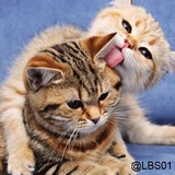 Sticker 73