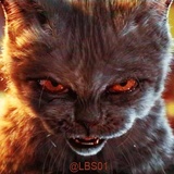 Sticker 82