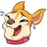 Chihuahua Chica sticker pack