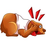 Sticker 20