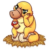 Sticker 28