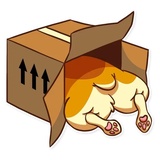 Sticker 19