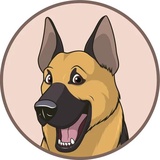 Sticker 17