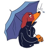 Sticker 25