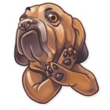 Sticker 10
