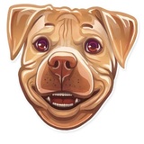 Sticker 11