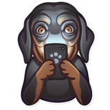 Sticker 27