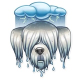 Sticker 30