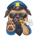 Sticker 31
