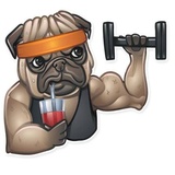 Sticker 41