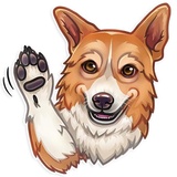 Sticker 5