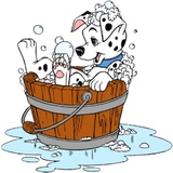 Sticker 5