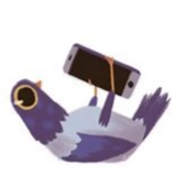 Sticker 20