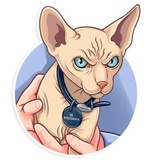 Sticker 25