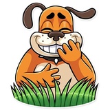 Duck Hunt