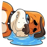 Sticker 16