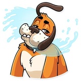 Sticker 37