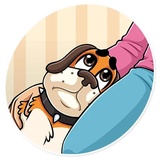 Sticker 38