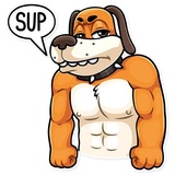 Sticker 5