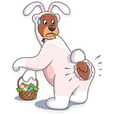Sticker 13