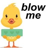 Sticker 11