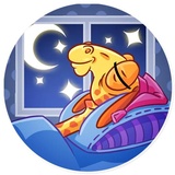 Sticker 16