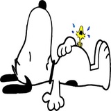 Sticker 24