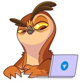 Sticker 19