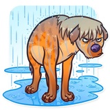 Sticker 27