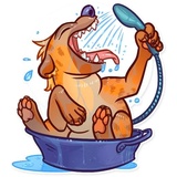 Sticker 30
